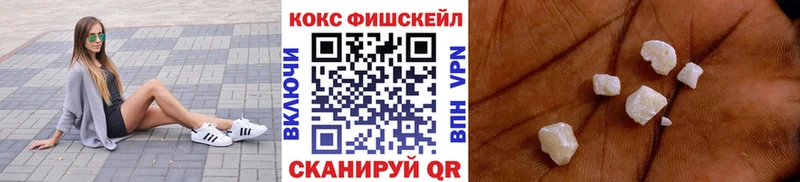 Кокаин FishScale  дарнет шоп  Брянск 