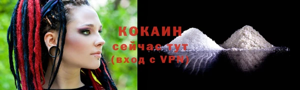 дмт Богородицк