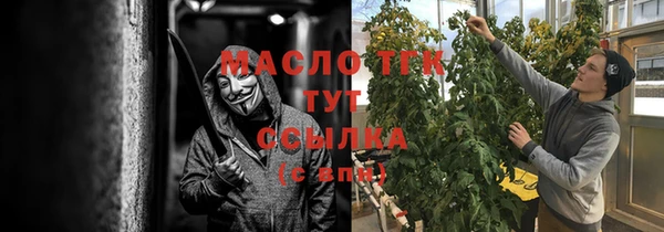 дмт Богородицк