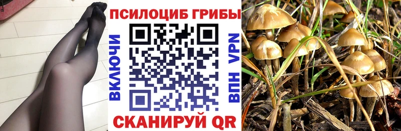 Галлюциногенные грибы ЛСД  купить   Брянск 